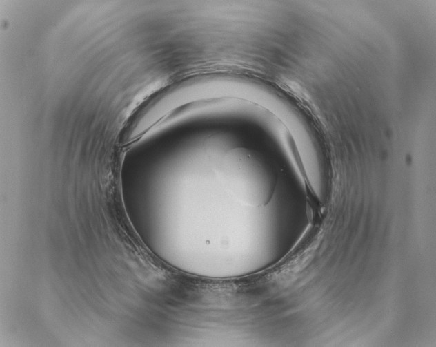 X0000088581210200706151703