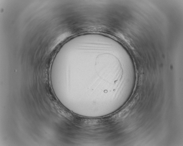 X0000088581211200706151703