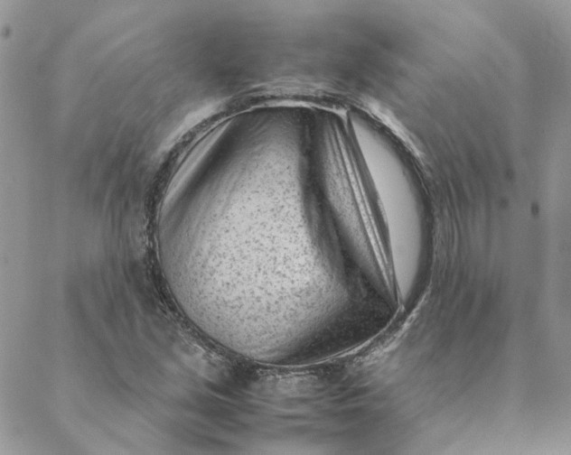 X0000088581213200706151703