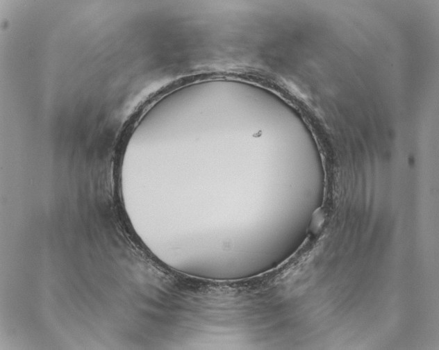 X0000088581214200706151703