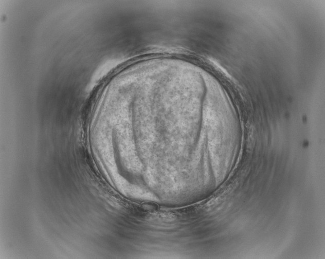 X0000088581215200706151703