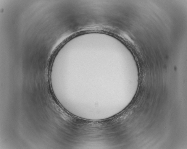 X0000088581216200706151703