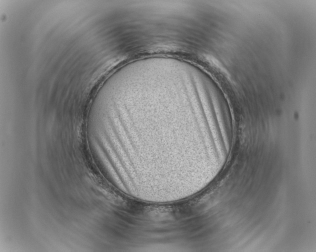 X0000088581217200706151703