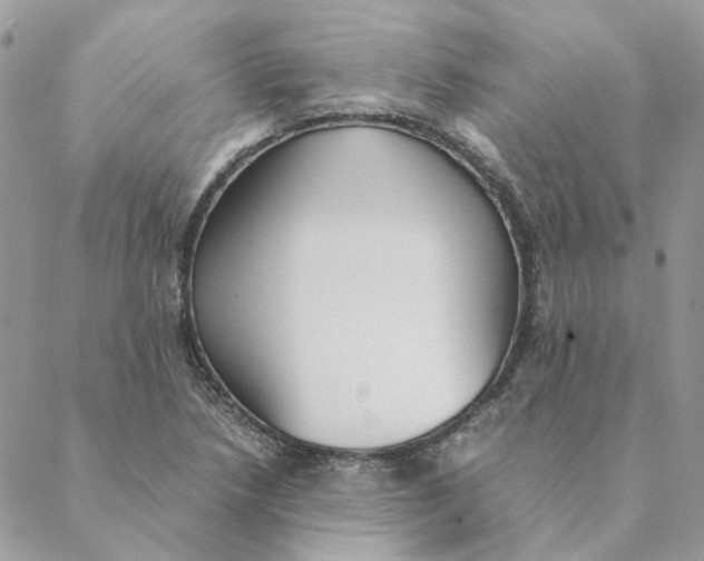 X0000088581218200706151703