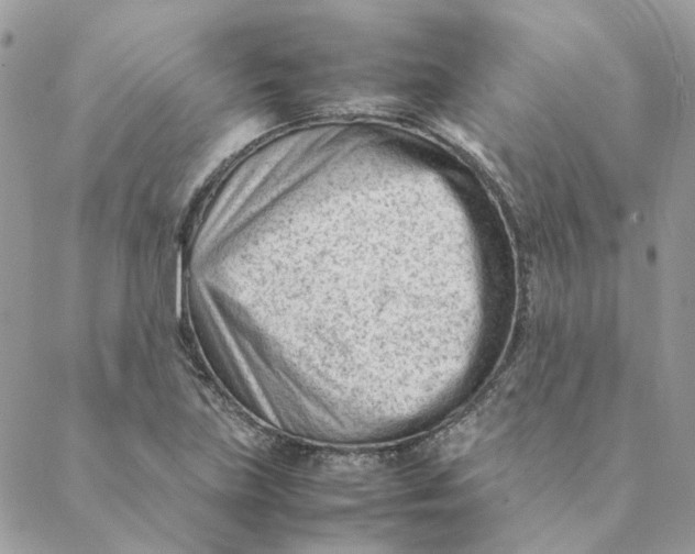 X0000088581219200706151703