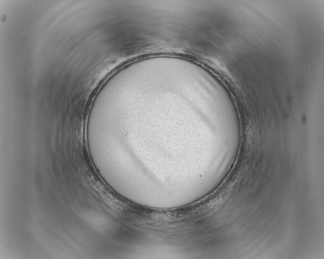 X0000088581220200706151703