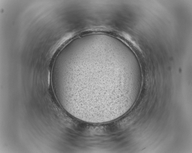 X0000088581221200706151703