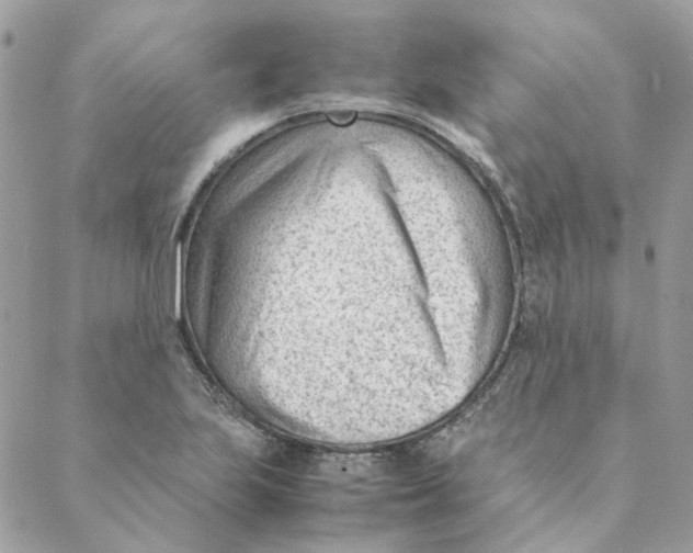 X0000088581223200706151703