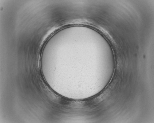 X0000088581224200706151703