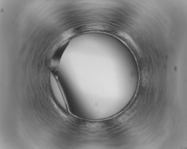 X0000088581225200706151703