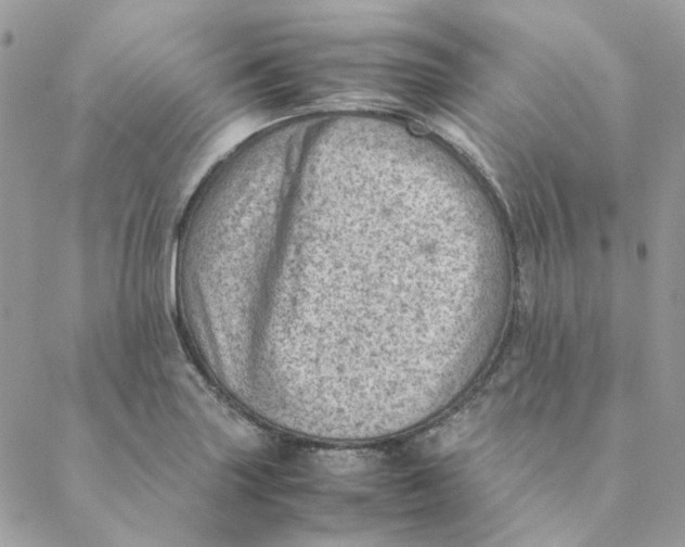 X0000088581227200706151703