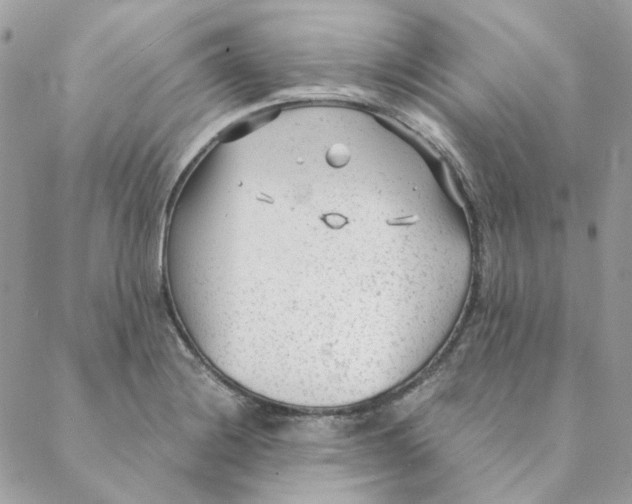 X0000088581228200706151703