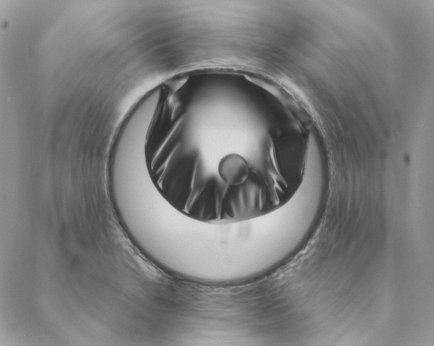 X0000088581230200706151703