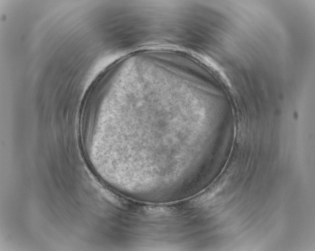 X0000088581231200706151703