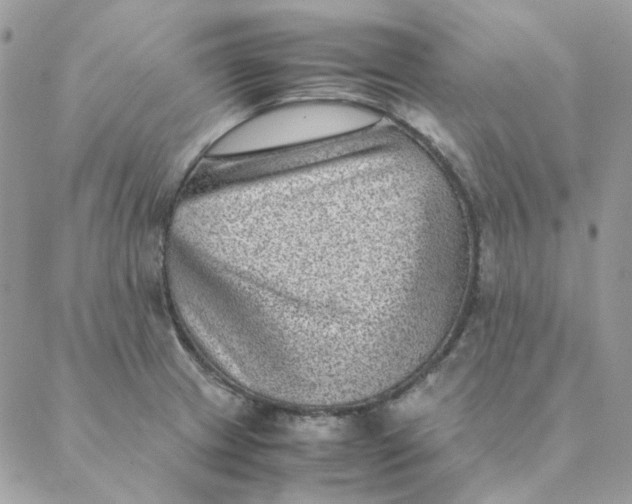 X0000088581233200706151703