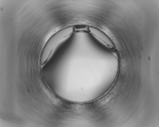 X0000088581234200706151703