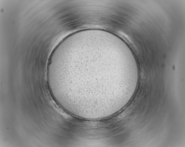 X0000088581236200706151703