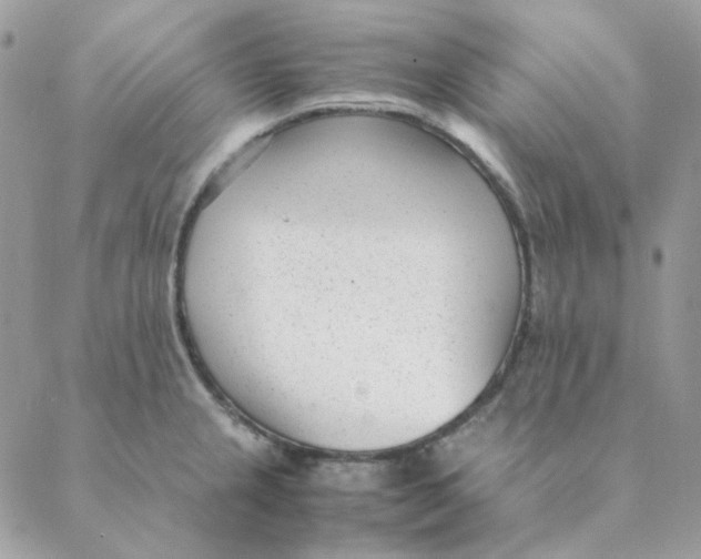 X0000088581237200706151703