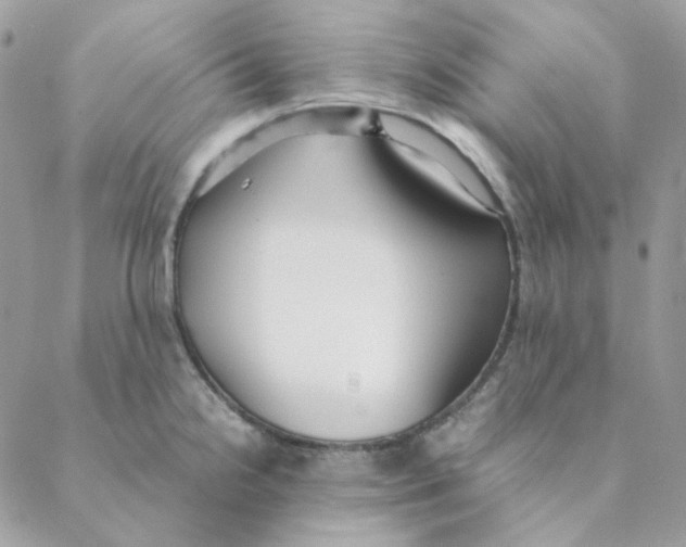 X0000088581238200706151703