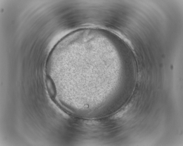 X0000088581239200706151703