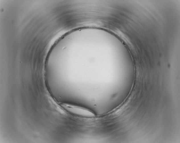 X0000088581240200706151703