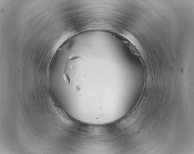 X0000088581242200706151703