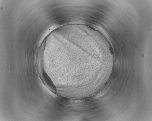 X0000088581243200706151703