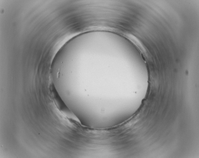 X0000088581244200706151703