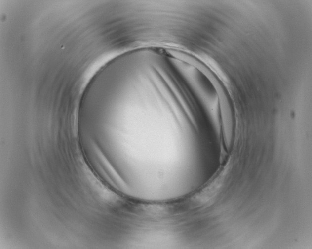 X0000088581246200706151703