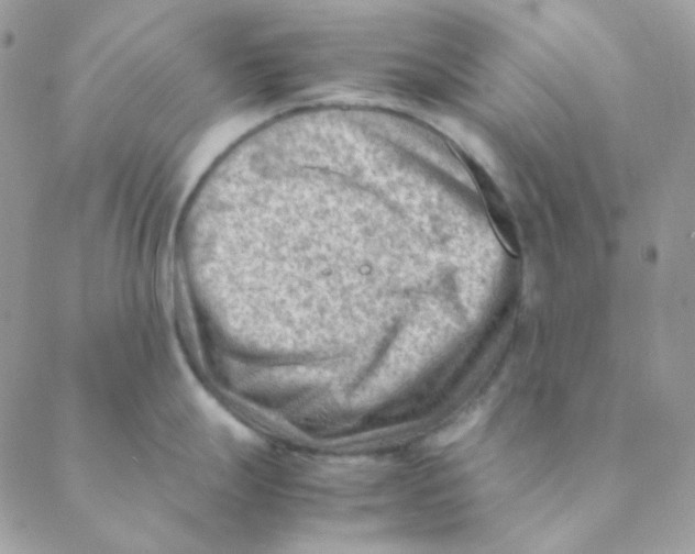 X0000088581247200706151703