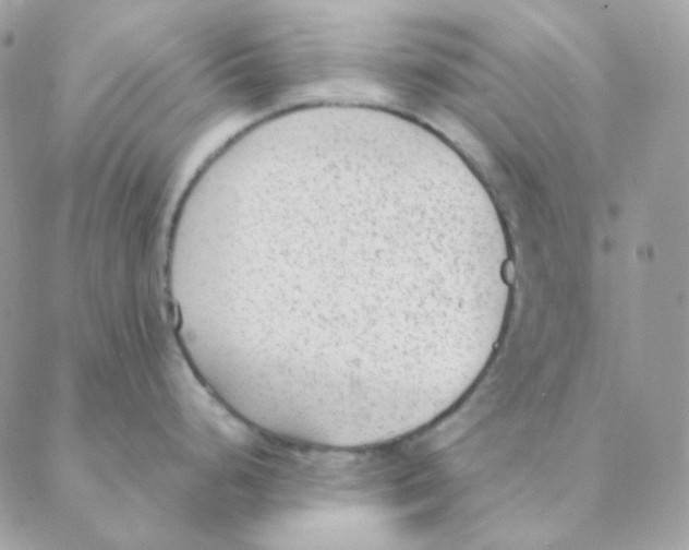 X0000088581248200706151703