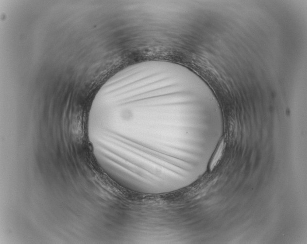 X0000088581250200706151703