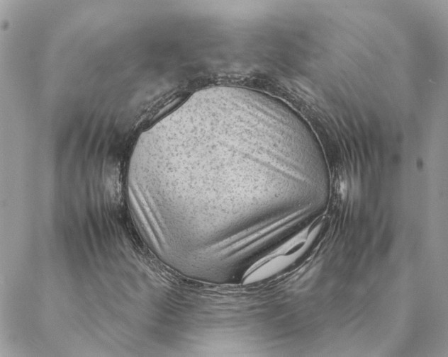 X0000088581252200706151703