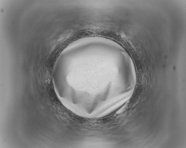 X0000088581253200706151703