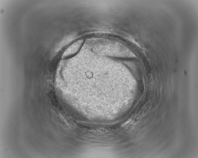 X0000088581255200706151703