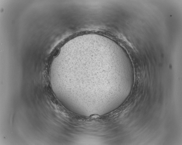 X0000088581256200706151703