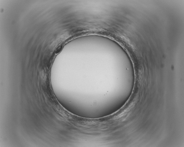 X0000088581257200706151702