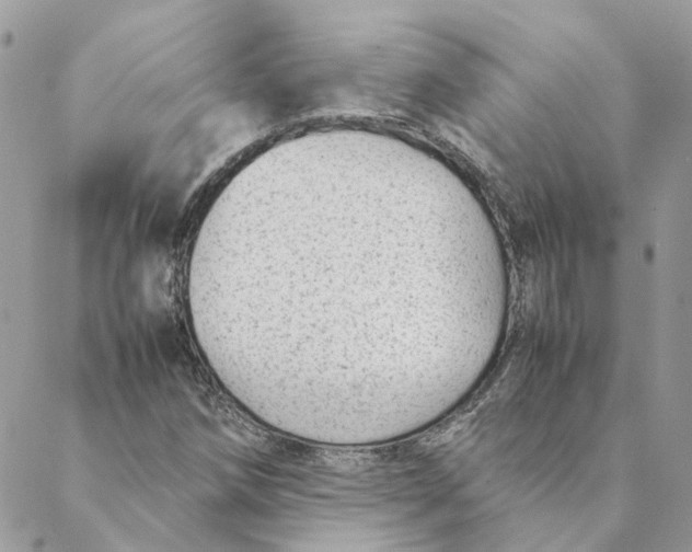 X0000088581258200706151702