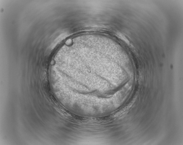 X0000088581259200706151702