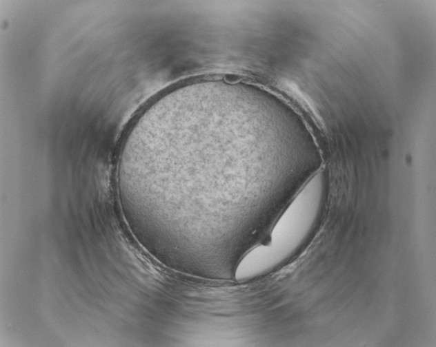 X0000088581260200706151702