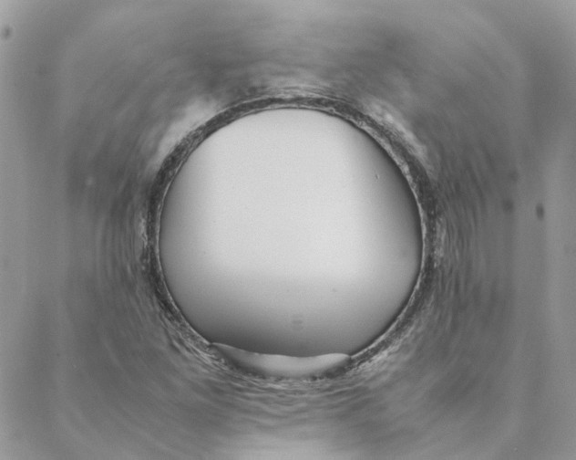 X0000088581261200706151702