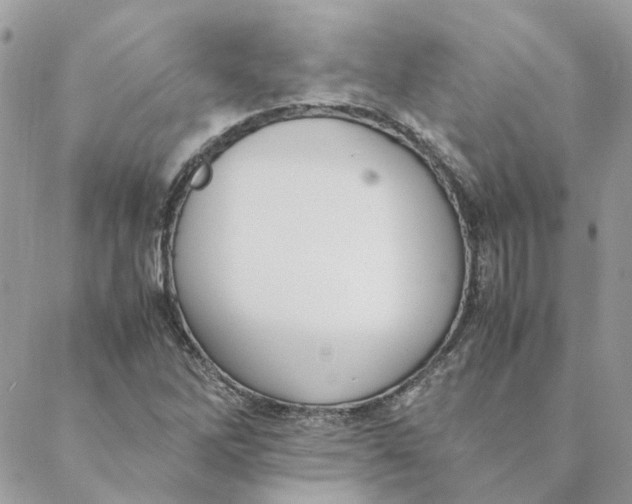 X0000088581262200706151702