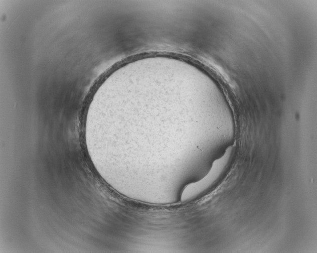 X0000088581264200706151702