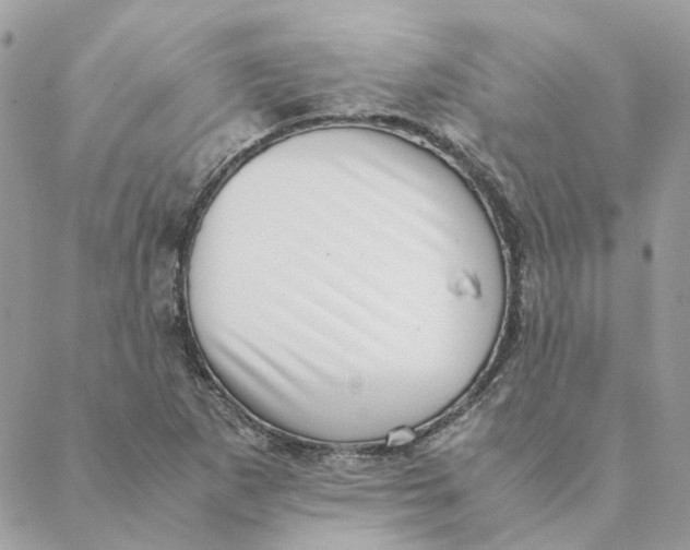 X0000088581265200706151702