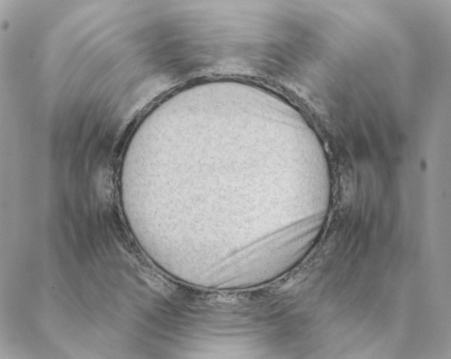 X0000088581266200706151702