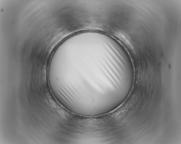 X0000088581268200706151702