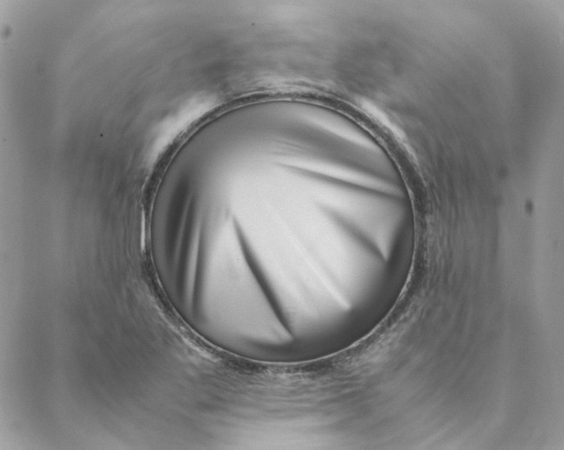 X0000088581269200706151702