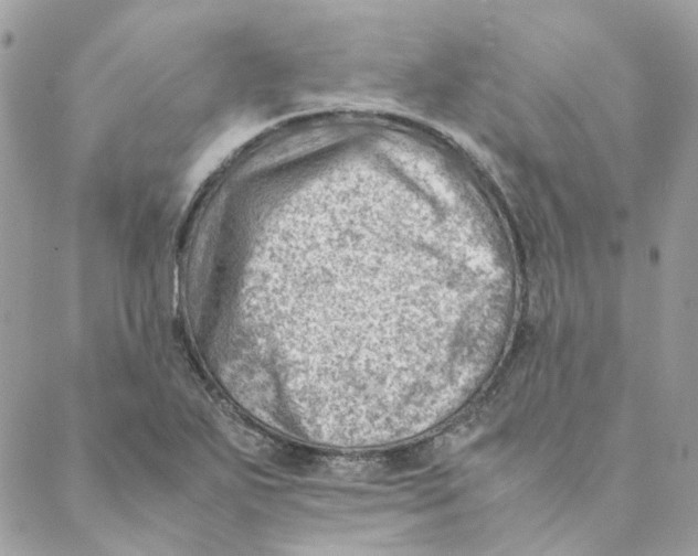 X0000088581271200706151702