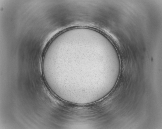 X0000088581272200706151702