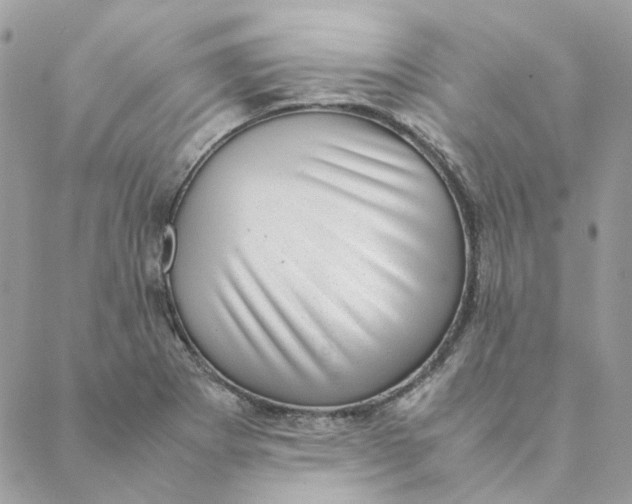 X0000088581273200706151702